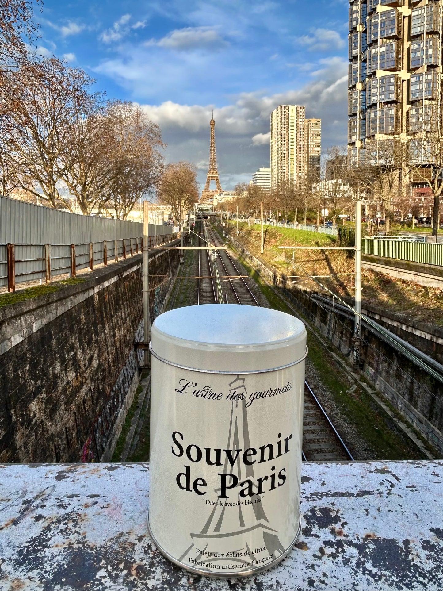 Boîte de biscuits "Souvenir de Paris"