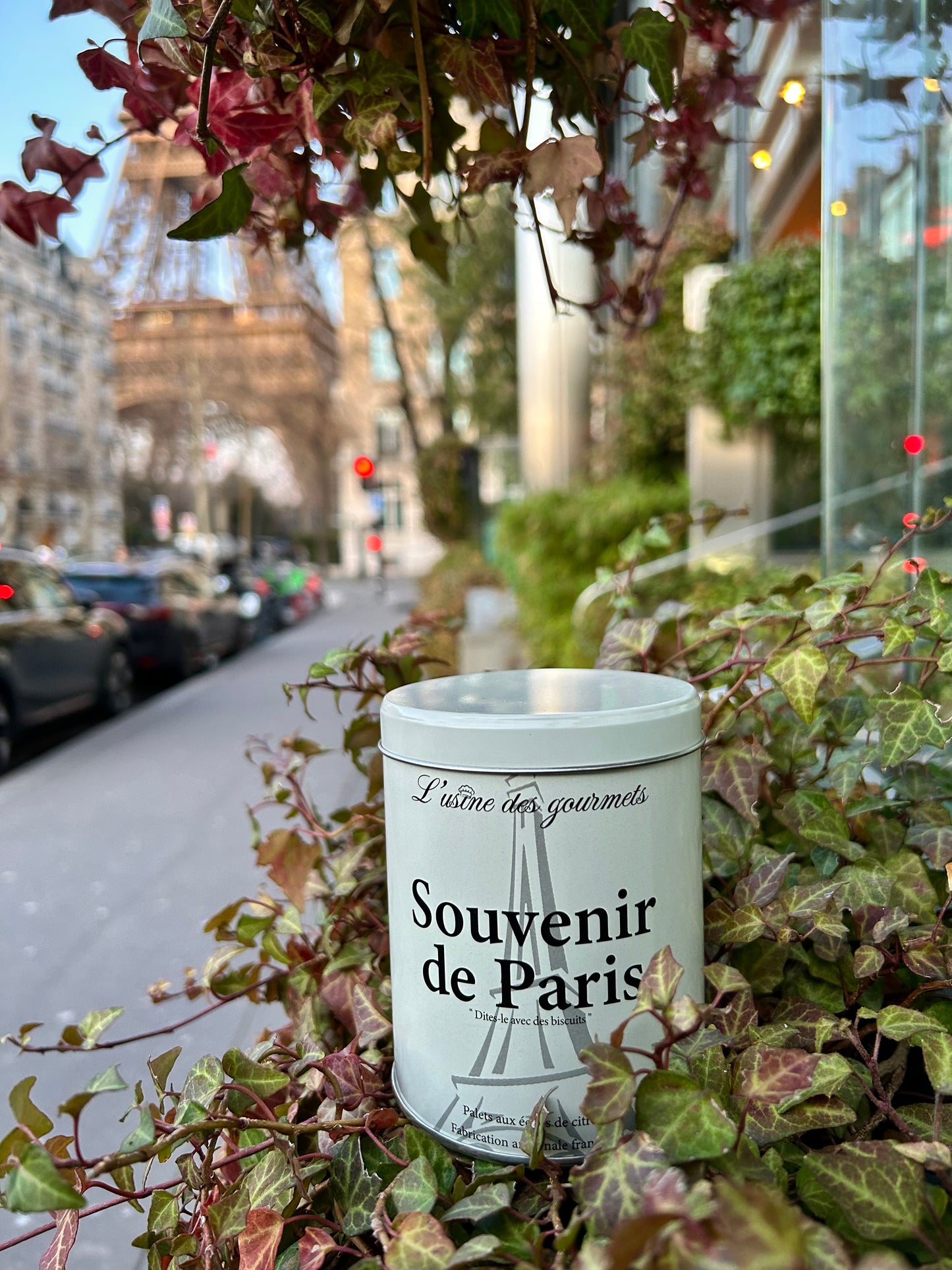 Boîte de biscuits "Souvenir de Paris"