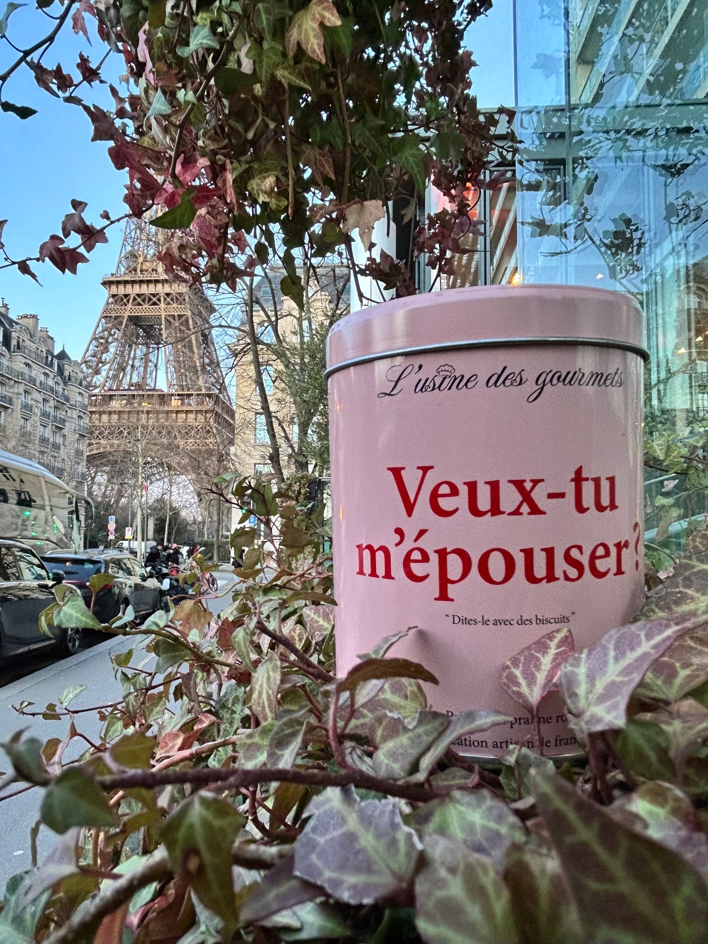 Boîte de biscuits "Veux-tu m'épouser ?"