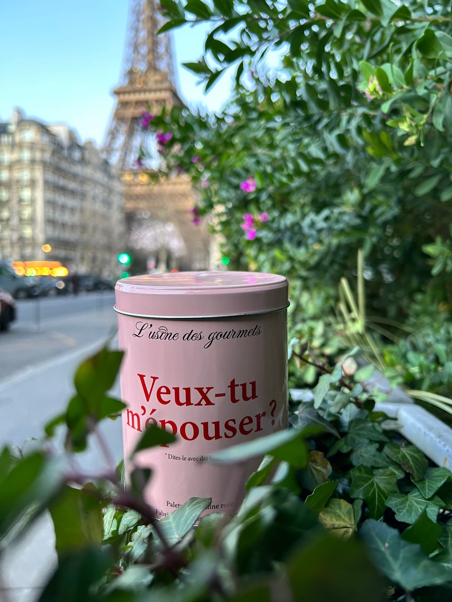 Boîte de biscuits "Veux-tu m'épouser ?"
